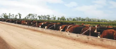 Banner Ligantes Hidraulicos