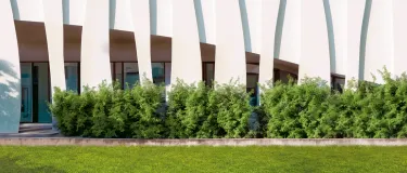 Cemento Blanco Bolsa