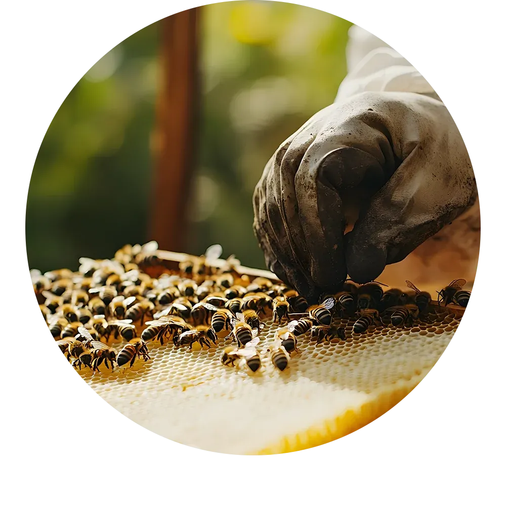 Biodiversidad