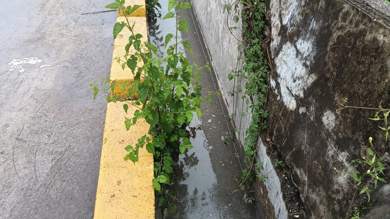 Dia Mundial del Agua