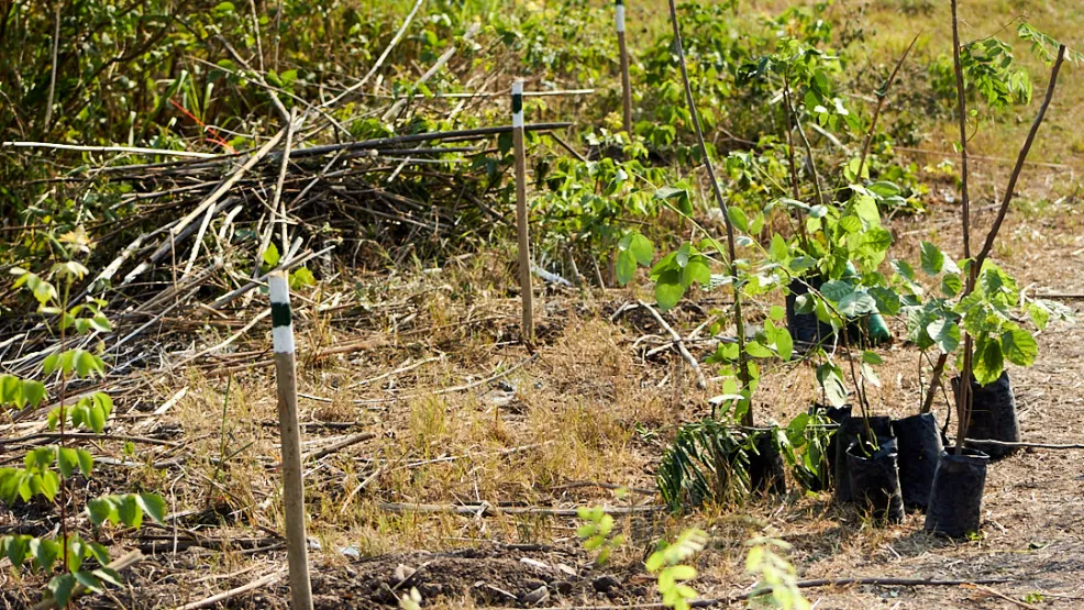 Construyendo progreso para las personas y el planeta