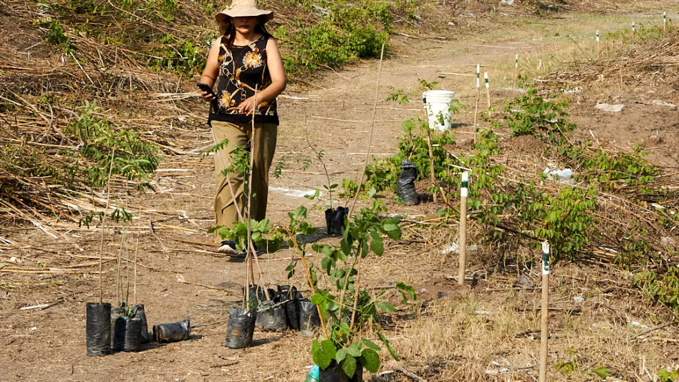 Construyendo progreso para las personas y el planeta