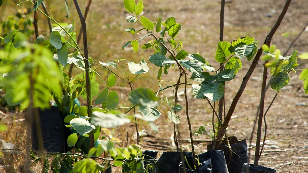Construyendo progreso para las personas y el planeta