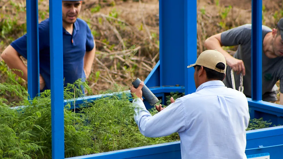 Construyendo progreso para las personas y el planeta