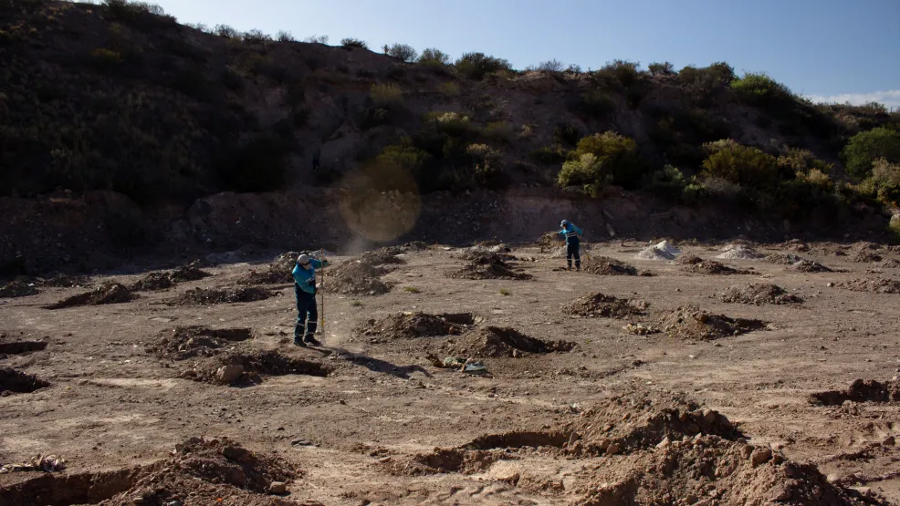 Forestación Mendoza