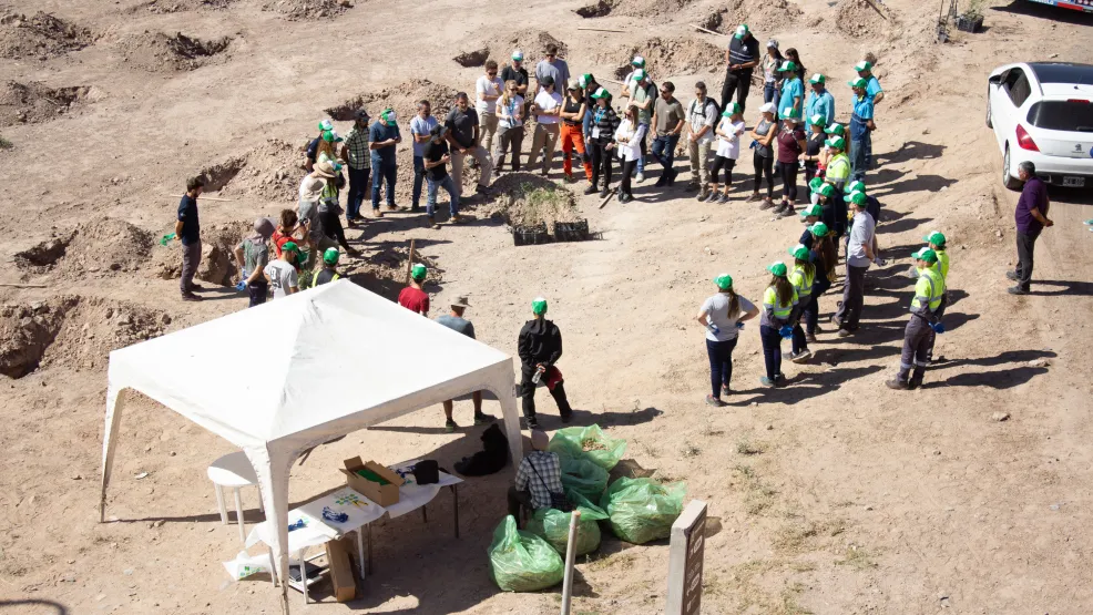 Forestación Mendoza