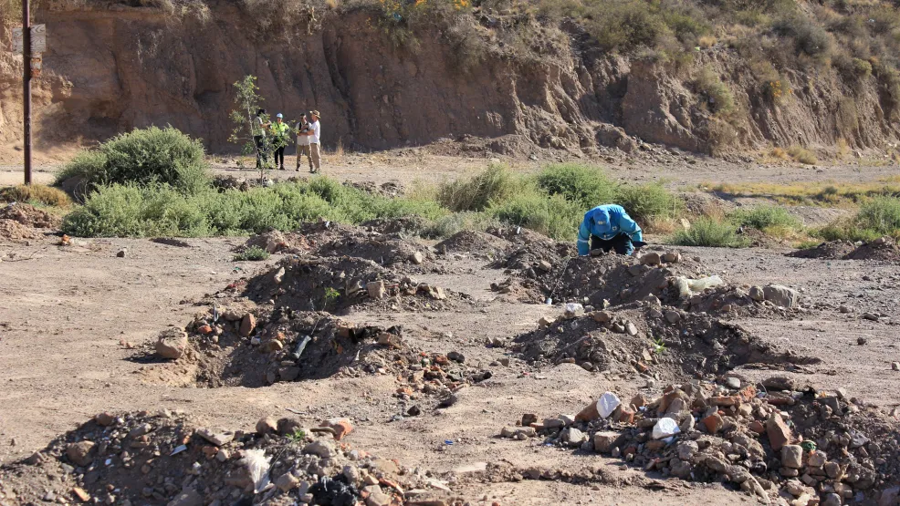 Forestación Mendoza