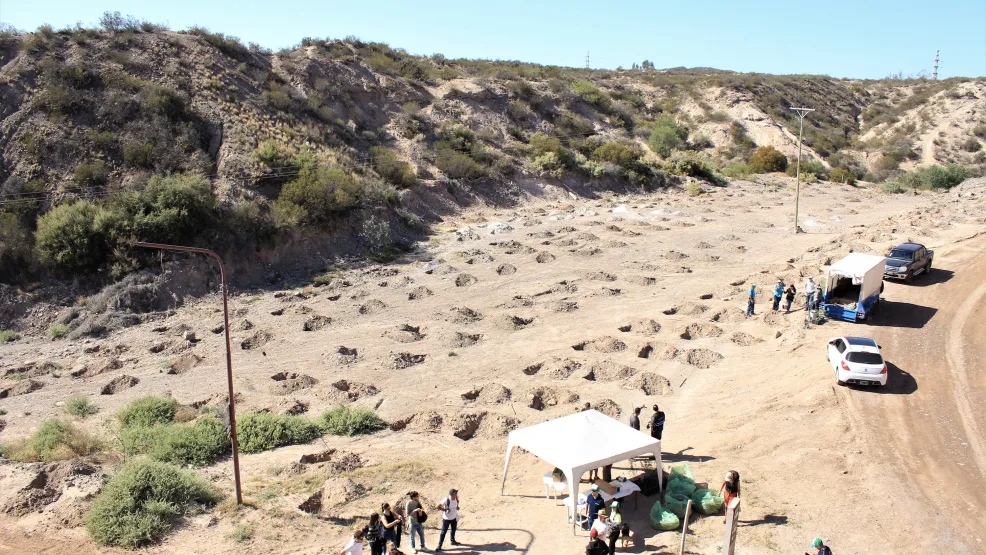 Forestación Mendoza