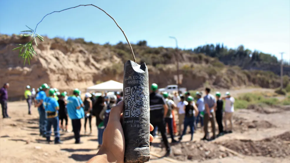 Forestación Mendoza