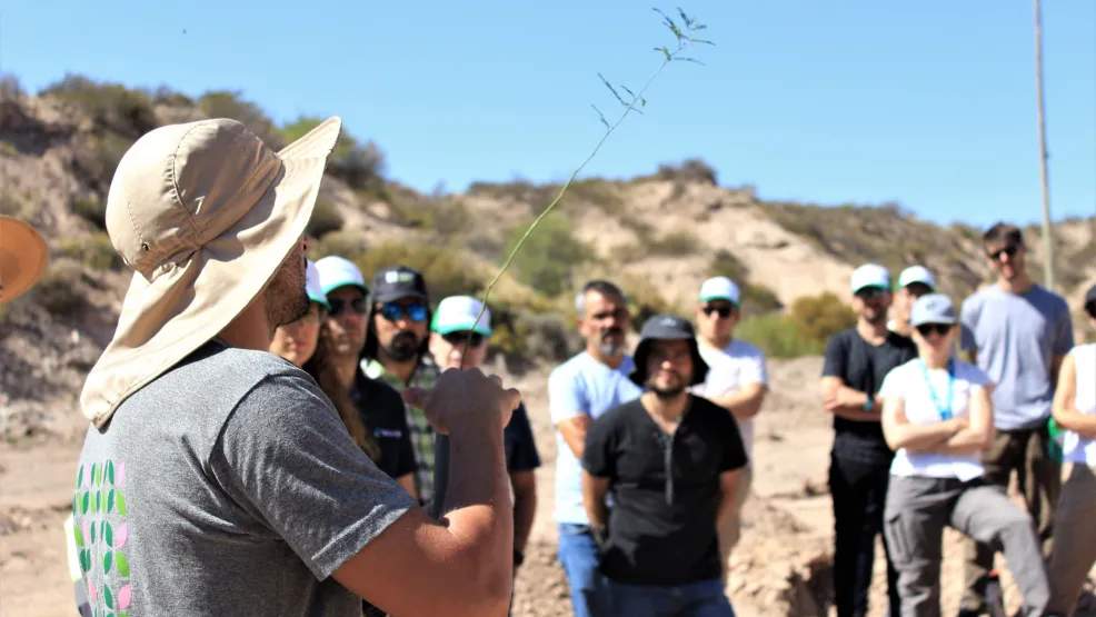 Forestación Mendoza