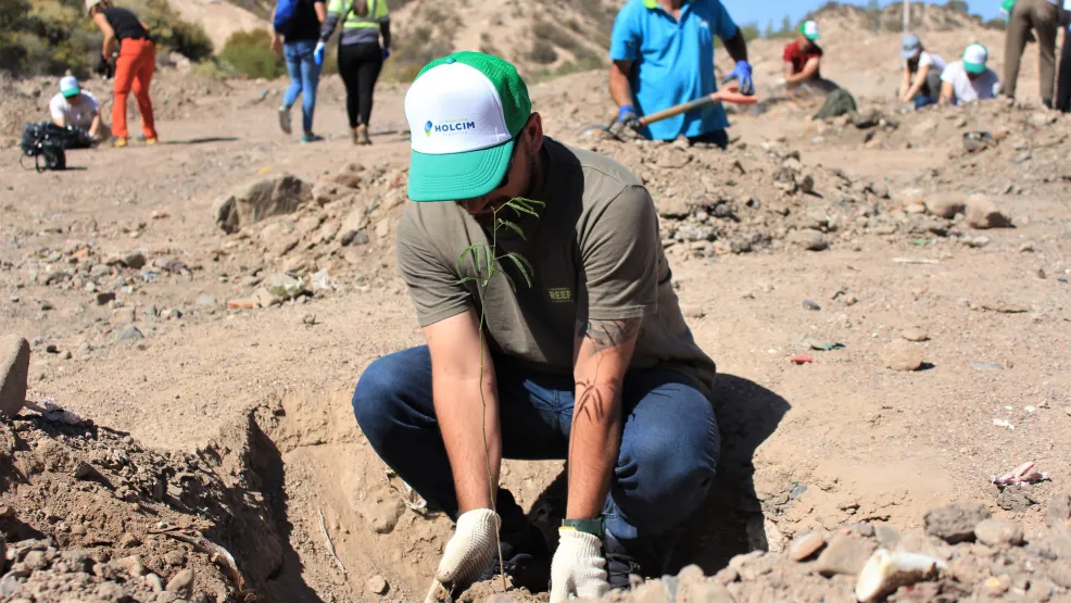 Forestación Mendoza