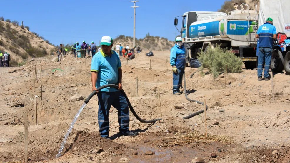 Forestación Mendoza