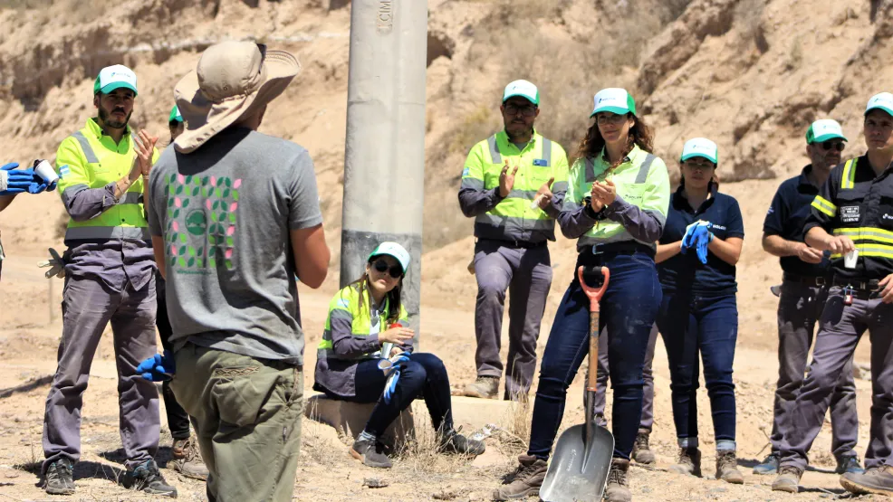Forestación Mendoza