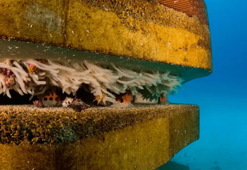 Dia Mundial del Agua