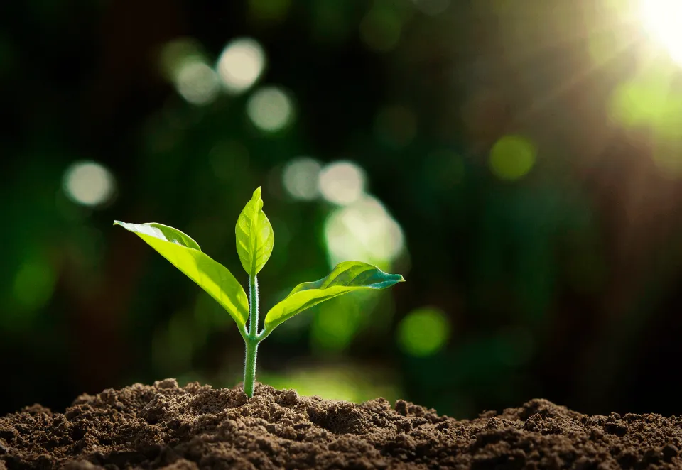 Dia Mundial del Agua