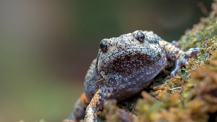 Construyendo progreso para las personas y el planeta