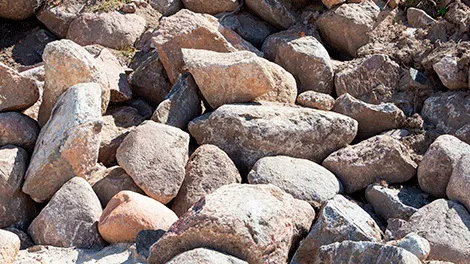 Construyendo progreso para las personas y el planeta